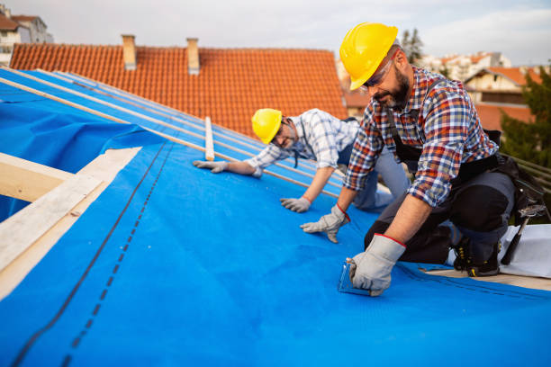 Steel Roofing in Thompsonville, PA